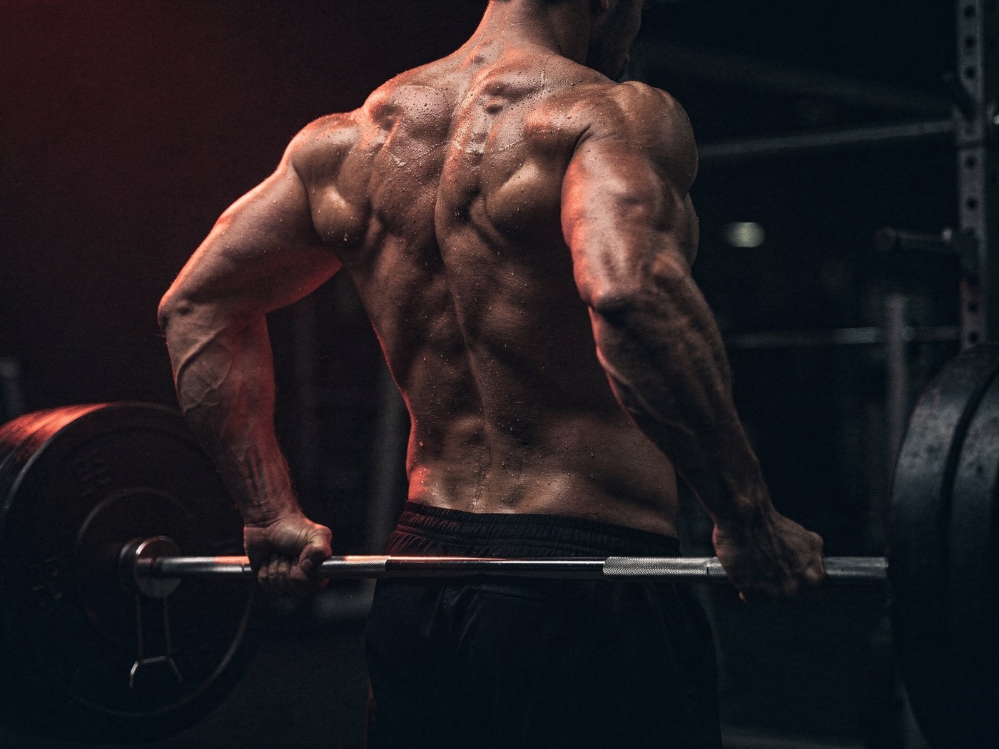 A muscular back gripping a loaded barbell in a dark gym, lit deep red
